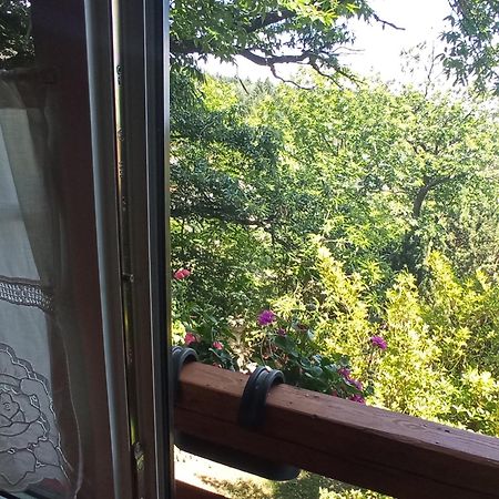 Pele Vendeghaz Villa Velem Buitenkant foto